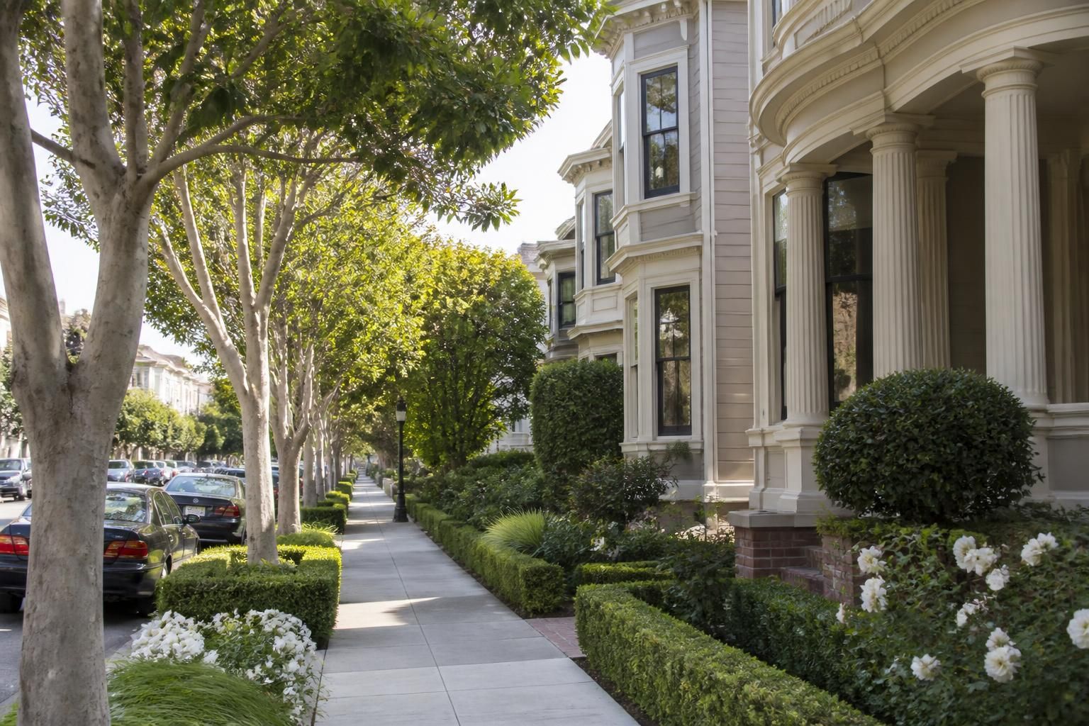 Tree-lined neighborhood street in Burlingame.
