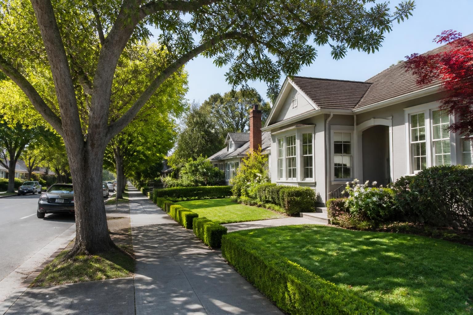 Welcoming suburban street with well-kept homes in San Carlos.